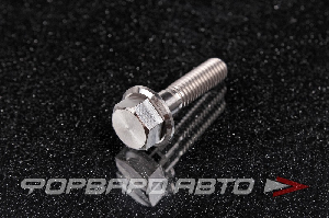 Болт М6*1,0*25 титановый с фланцем FORA TITANIUM DIN6921-6*25Ti