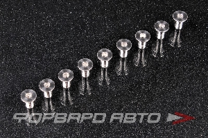 Винты масляного насоса TOYOTA 2JZ-GTE, Ti FORA TITANIUM FTP4