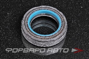 Сальник высокого давления 25,5*39*8,5 NOK BP1481E