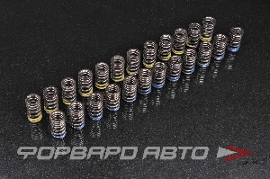 Пружины клапанов NISSAN GT-R, VR38DETT TOMEI 