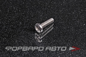 Винт полукруг крест-шлиц нерж. М5*20 DIN7985 A2  