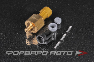 Сенсор давления латунный 3.5 BAR / 50PSI (Brass PSIg Sensors) 1/8" NPT AEM 30-2131-50