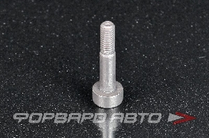 Болт М6*1,0*30 NISSAN 13058-1N500