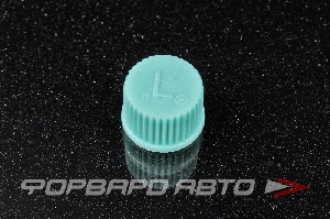 Купить Колпачок ниппеля кондиционера GENERAL MOTORS 96800054 Колпачок ниппеля кондиционера GENERAL MOTORS 96800054