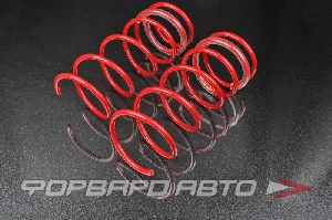 Пружины передние для автомобиля ВАЗ 2108-2110-2112 (занижение -50мм) Racing SS20 SS30134