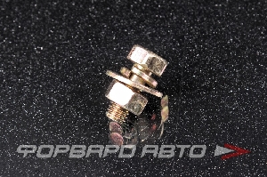 Болт М6*1,0*13 с гайкой. цинк MASUMA BJ-009