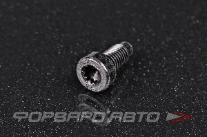 Болт М8*1,25*20 под TORX AUTO-GUR AGA1405