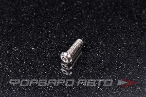 Купить Винт M4*0,7*16 титановый полукруглая головка, внутренний шестигранник FORA TITANIUM ISO7380-4*16Ti Винт M4*0,7*16 титановый полукруглая головка, внутренний шестигранник FORA TITANIUM ISO7380-4*16Ti