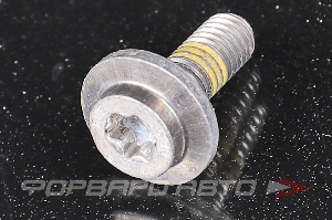 Винт M6*1,0*15 алюминиевый Torx VAG WHT 003 157