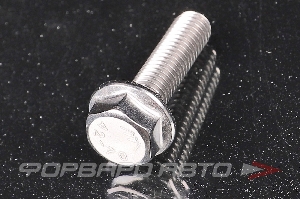 Болт М8*1,25*30 DIN 6921 А2 нерж. шестигр. гол. с фланцем <> DIN6921M8L30