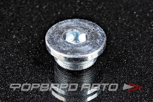 Купить Пробка сливная 24*1,5 масляного поддона FA1 257.805.001 Пробка сливная 24*1,5 масляного поддона FA1 257.805.001