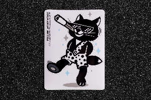 Стикер "CIAY" Cosmo Cat CIAY CD-S-CC