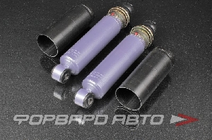 Купить Амортизатор передний ВАЗ 2101-07 СПОРТ SS20 SS20179 Амортизатор передний ВАЗ 2101-07 СПОРТ SS20 SS20179