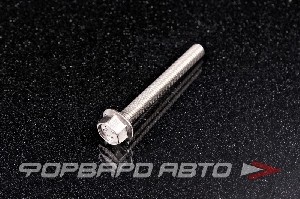 Болт М6*1,0*50 ДИН 6921 А2 нерж. шестигр. гол. с фланцем <> 