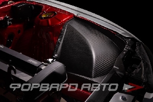 Арки колесные Nissan Silvia S14, S15 передние (карбон) FORWARD RACING bodykit FBPS15019