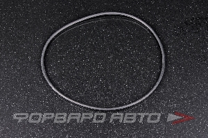 Кольцо уплотнительное маслостойкое 175*4 NOK OR-04.00_175.00
