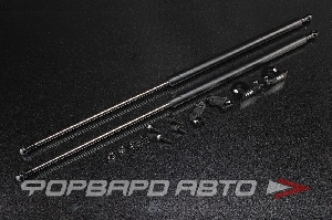 Амортизаторы капота HONDA Civic 06-10 FD AUTOBAHN88 