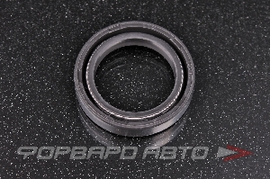 Сальник 28*40*8 DC две пружины TTO D017