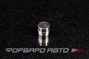 Заглушка F1/8" CAMOZZI 2613 1/8