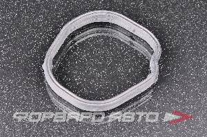 Прокладка системы охлаждения двигателя GENERAL MOTORS 55562045