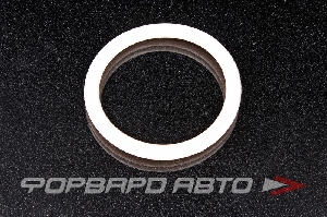 Прокладка дроссельной заслонки, большая RENAULT ROSTECO 20760