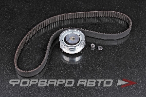 Комплект ремня ГРМ INA 530 0171 10