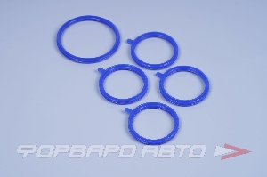 Купить Прокладка ресивера (впускного коллектора) ВАЗ 2170 Приора 2, Калина 2 с электр. педалью (синий силик.) CS20 13726 Прокладка ресивера (впускного коллектора) ВАЗ 2170 Приора 2, Калина 2 с электр. педалью (синий силик.) CS20 13726