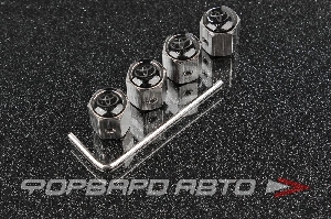 Колпачок вентиля колеса TOYOTA с шестигранником (не для алюминиевого ниппеля) MELCO TA001