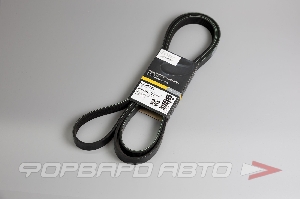 Ремень поликлиновой CARBERRY 6PK2498