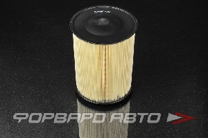 Фильтр воздушный FILTRON AK 372/1