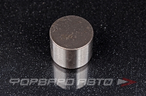 ТОЛКАТЕЛЬ 594  LF479Q31007020A45