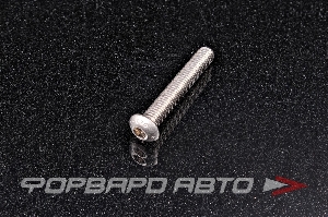 Винт полукруглый под внутренний шестигранник М8*1,25*50 <> (iSO 7380-1)A2