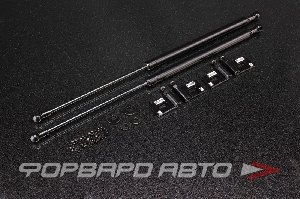 Амортизаторы капота MITSUBISHI Evolution 7/8/9 AUTOBAHN88 