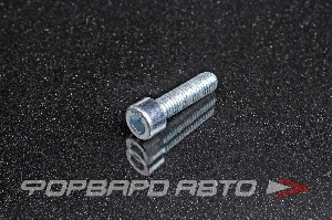 Винт М8*1,25*30 ДИН 912 с внутр. шестигр. оцинк. <> 