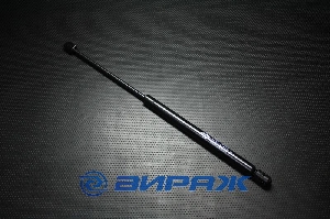 Амортизатор задней  двери MAGNETI MARELLI 4307 19007 900