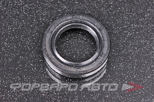 Сальник высокого давления 18,9*30*5 1PM TCS F-00993XA