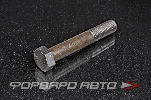 Болт М16*2*100 СИБИРЬ 