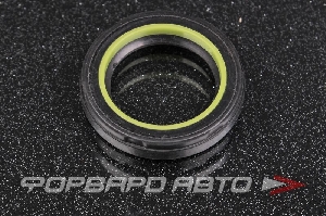 Сальник высокого давления 23,5*33,5*6 NOK BPP666-A0