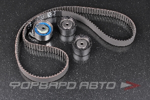 Комплект ремня ГРМ INA 530 0358 10