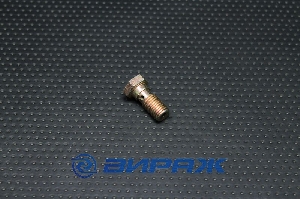 Болт BANJO М10*1,25 переднего тормозного шланга 2101 <> 2101-3506078