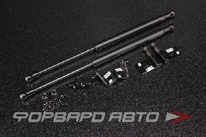 Амортизаторы капота MITSUBISHI Colt Plus Ralliart Version R Z27A AUTOBAHN88 