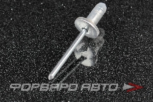 Клипса-заклепка лючка бензобака TOYOTA 90269-06013