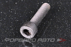 Винт цилиндр. с внутренним шестигранником М5*20 DIN912 высокопр. пр.10.9  
