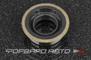 Сальник 17*27*10,3 (б/н) рез., манжетный NOK AG0731-E0