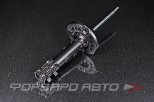 Амортизатор передний, правый MILES DG21854-01