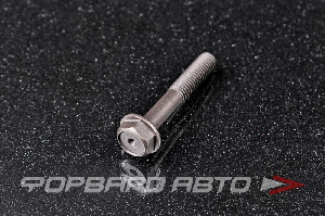 Болт крышки распредвала SR20VE/VET NISSAN 13058-53Y03