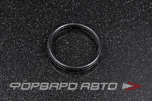 Кольцо уплотнительное HONDA 91326-PL5-003