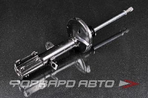 Амортизатор задний, правый MILES DG21010