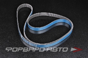 Купить HKS FINE TUNE V-BELT NISSAN GT-R VR38DETT HKS 24996-AK031 HKS FINE TUNE V-BELT NISSAN GT-R VR38DETT HKS 24996-AK031