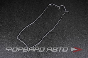 Прокладка крышки клапанов NOK 11213-70020